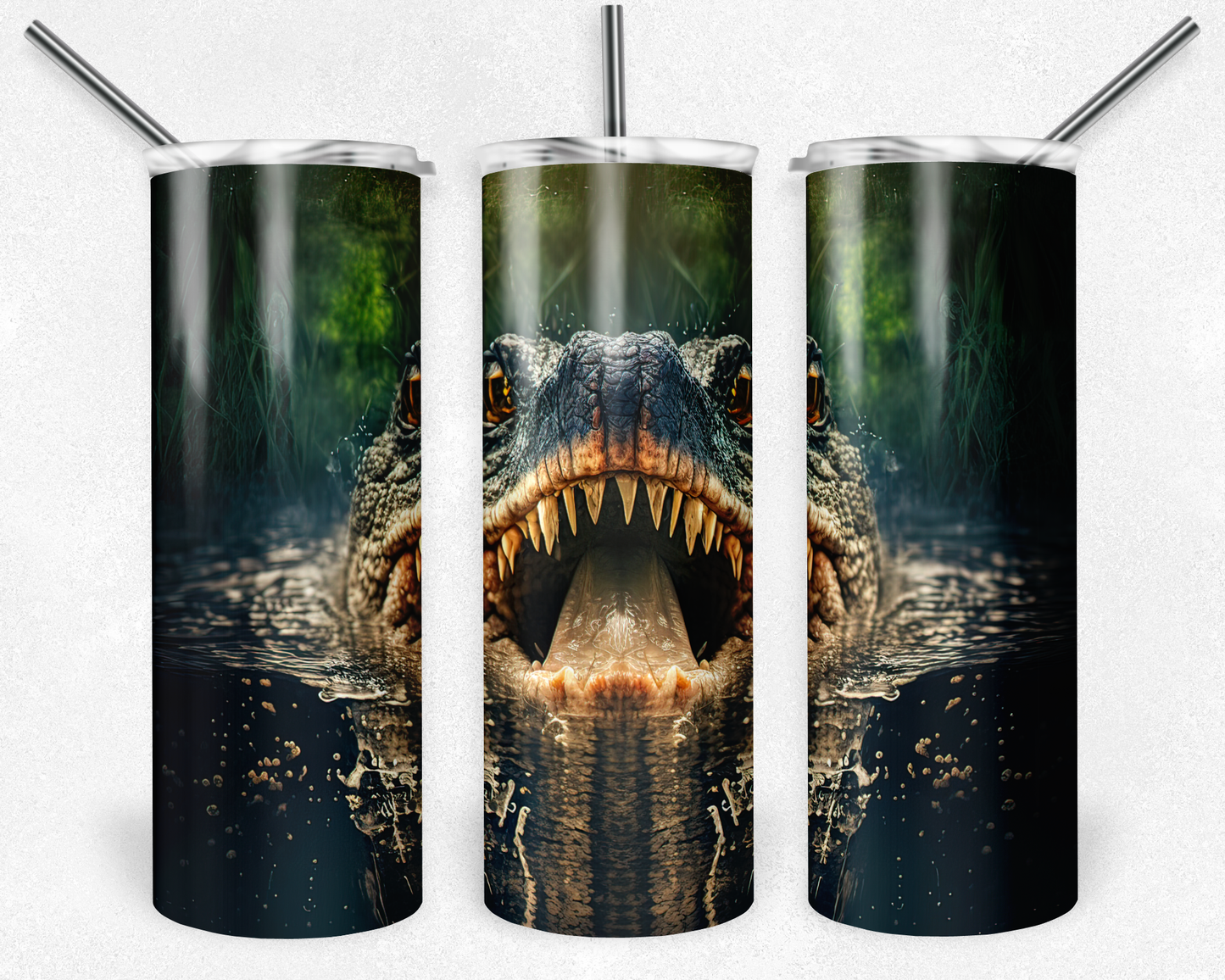 Alligator
