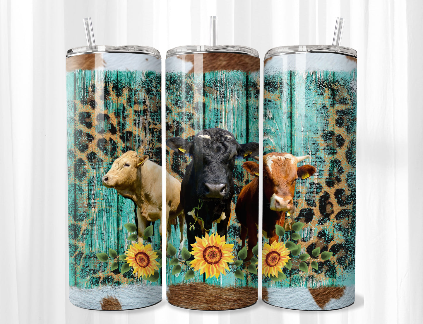 Cows Western