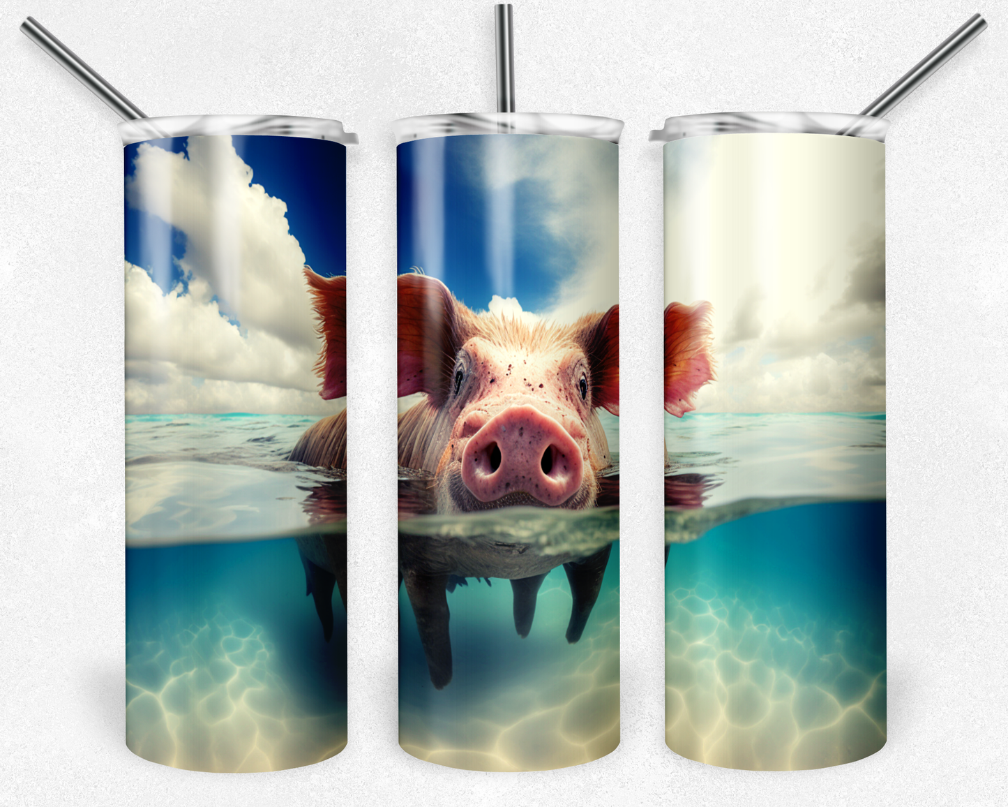 Swimming Pig