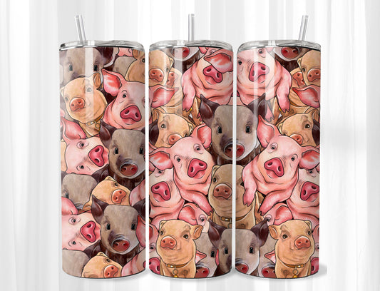 Pigs