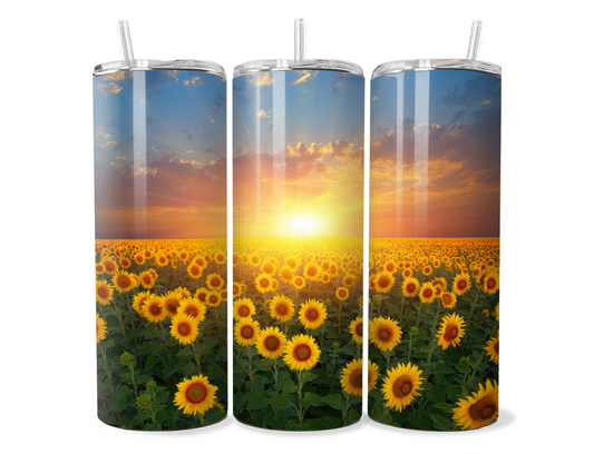 Sunflowers Field