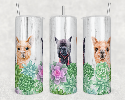 Llamas