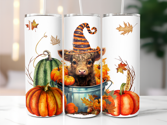 Highland Cow with Pumpkins